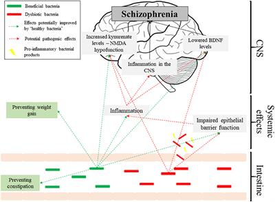 The Gut Microbiome and Schizophrenia: The Current State of the Field and Clinical Applications